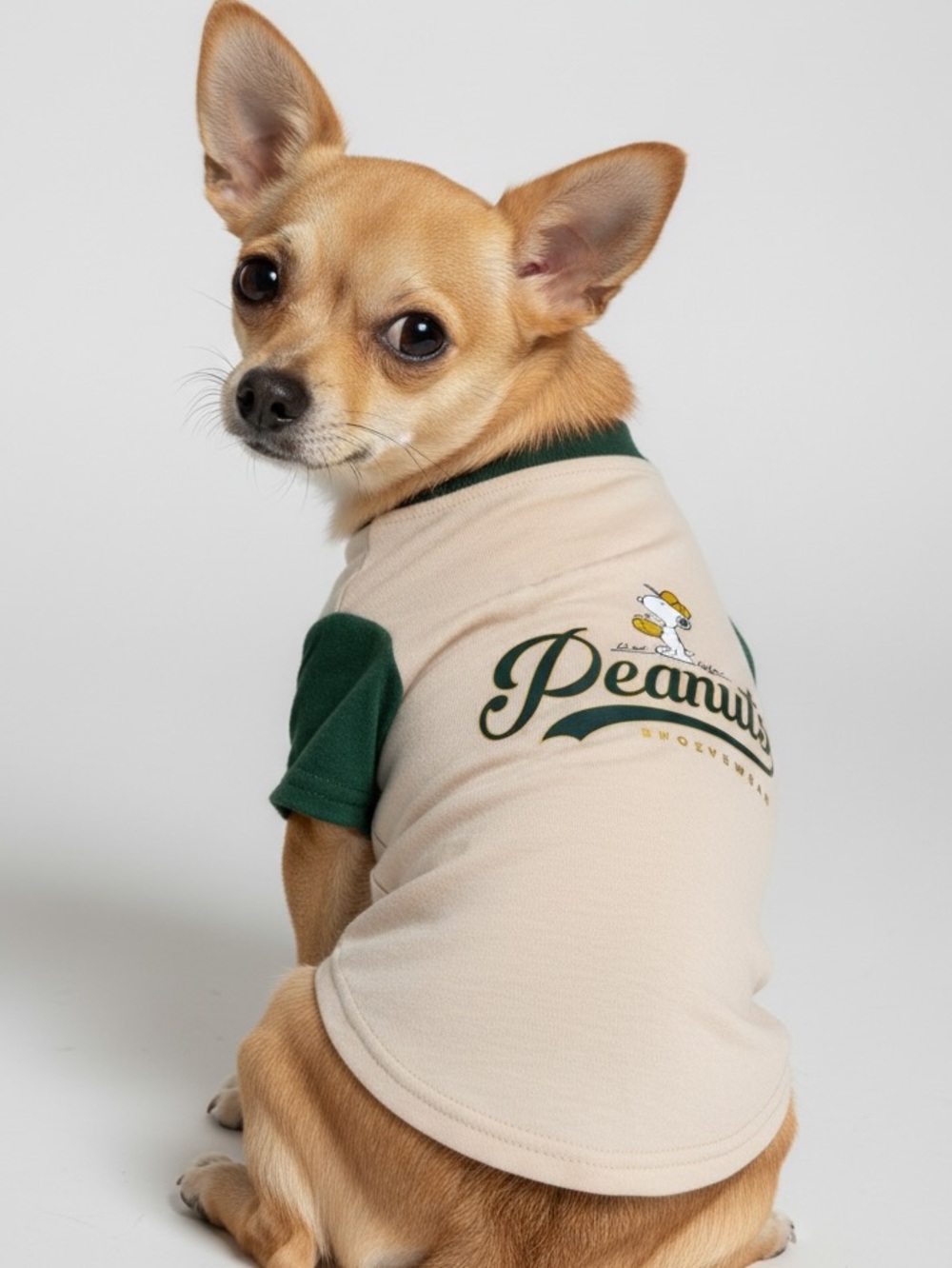 Peanuts Baseball Style Dark Green Dog Raglan Tee with Snoopy